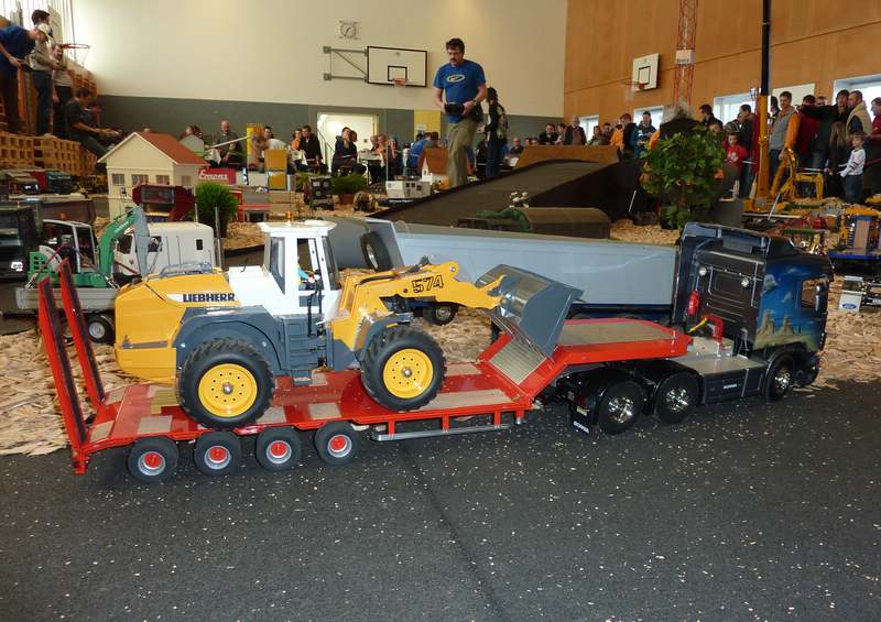 Gyr_00159.JPG
