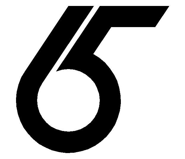 logo 65.JPG