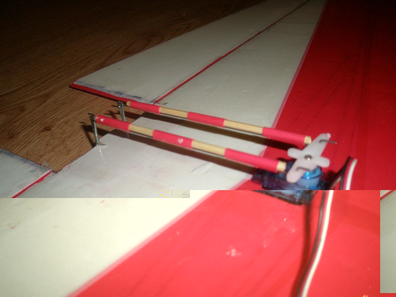 P1010378 [800x6005].JPG