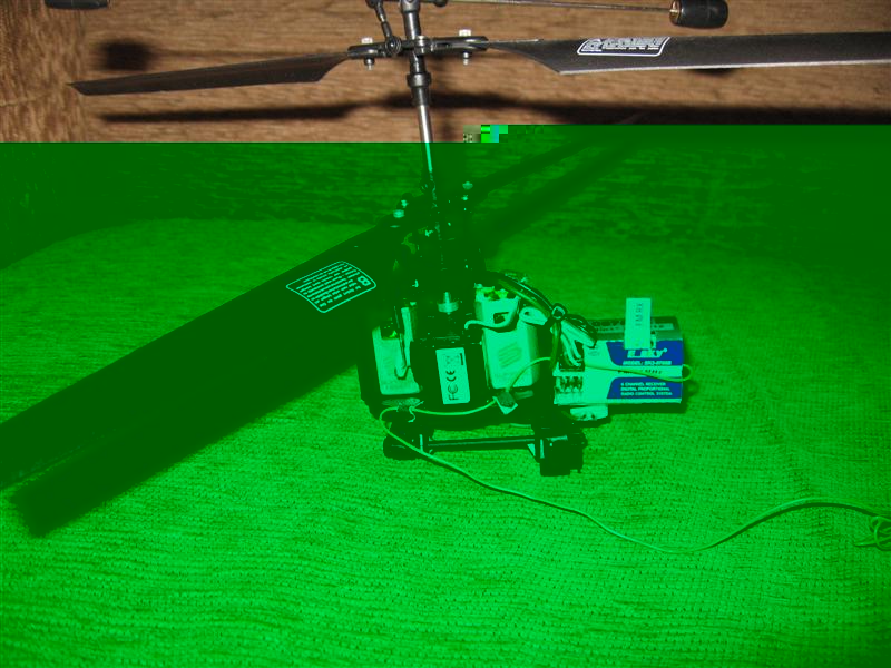 IMG_4451 (Medium).jpg