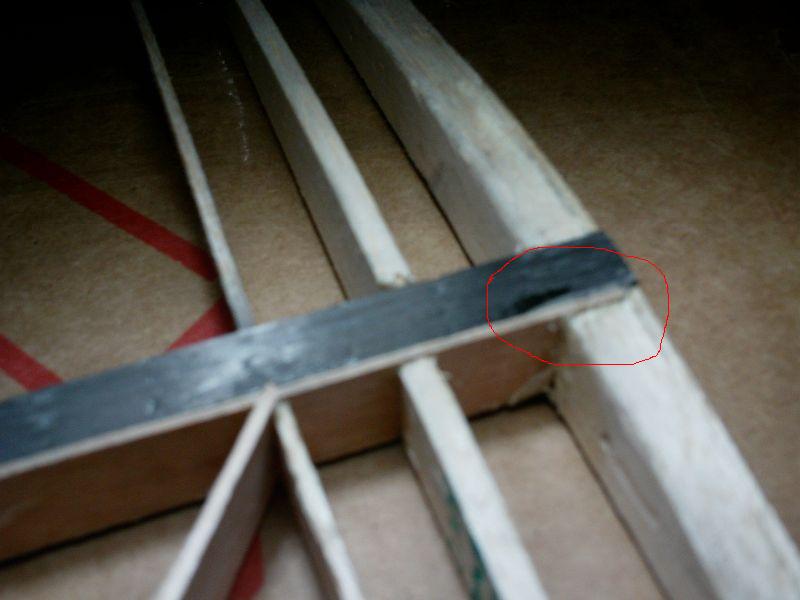IMAG0011.JPG