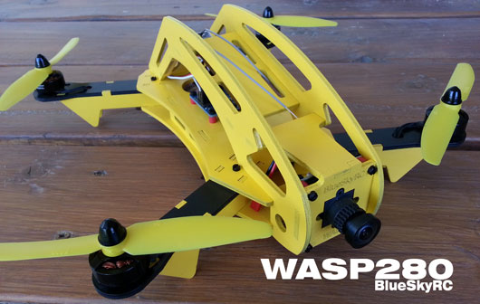 wasp280-2_01.jpg
