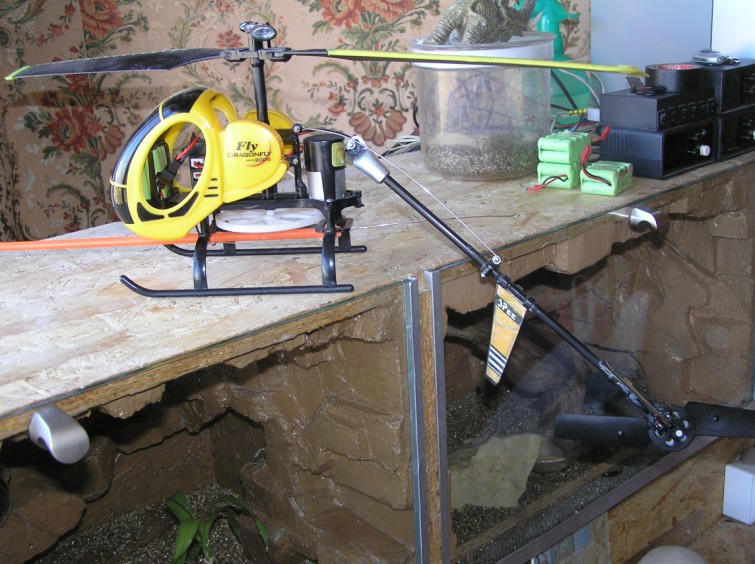 P3140002 (755 x 564).jpg