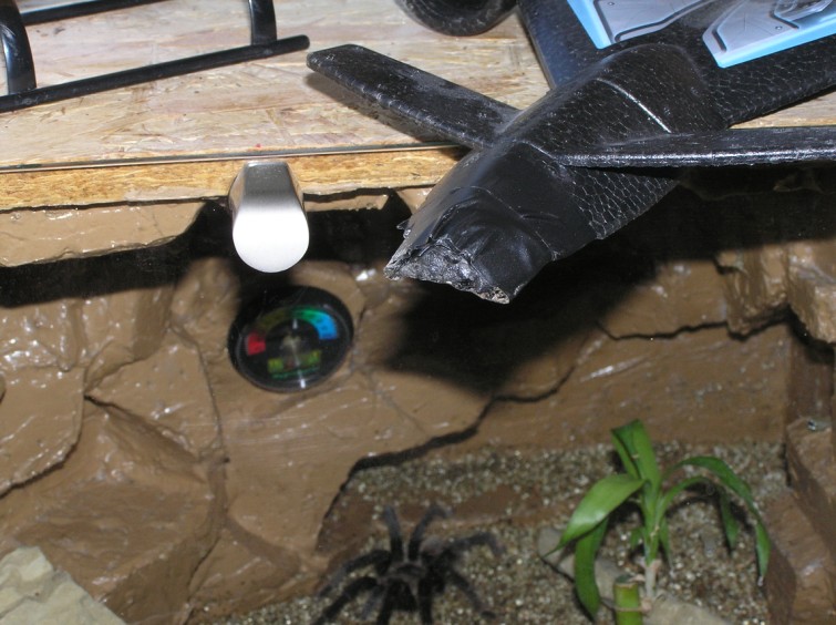 P3140005 (755 x 564).jpg