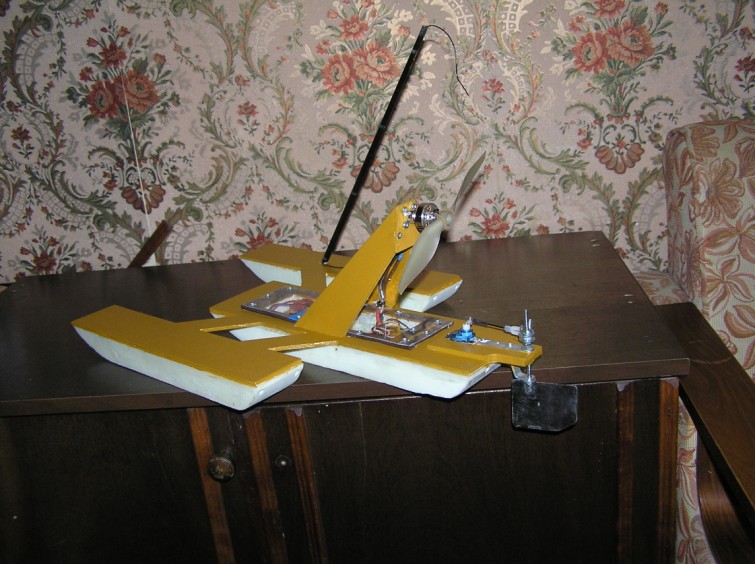 Paruostas pirmam plaukimui (5) (755 x 564).jpg