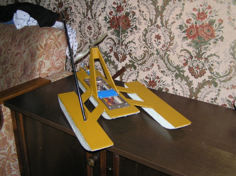 Paruostas pirmam plaukimui (3) (755 x 564).jpg