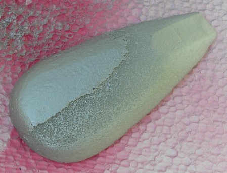 P8080001 (449 x 342).jpg