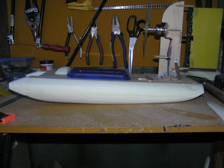 P8100001 (755 x 564).jpg