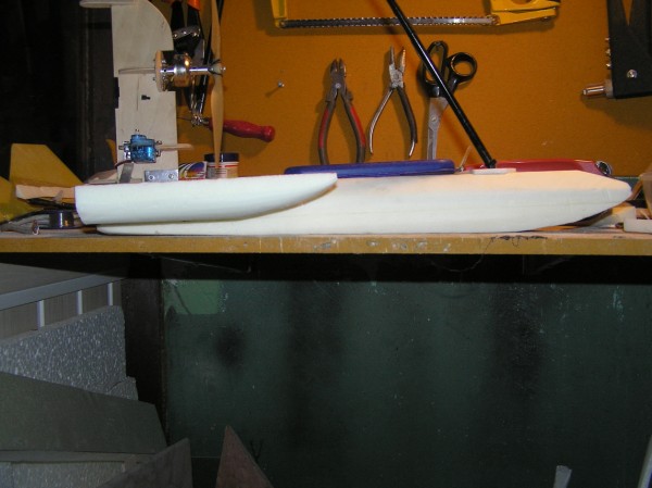 P8160006 (600 x 449).jpg