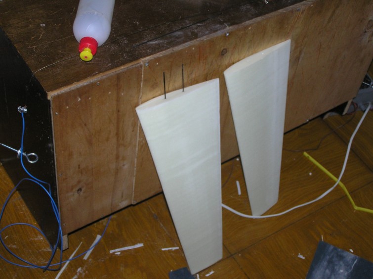 PB010003 (755 x 564).jpg