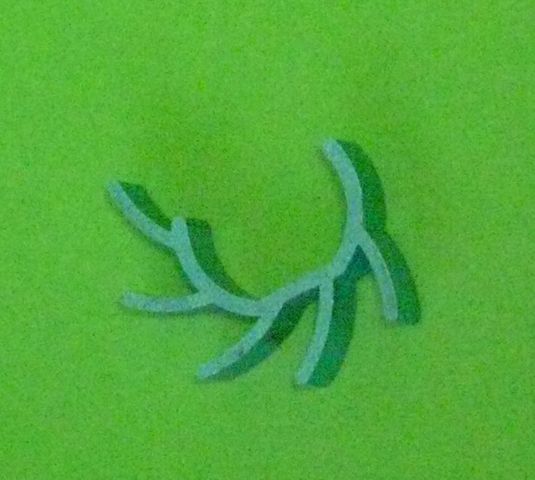 radiatorius.JPG